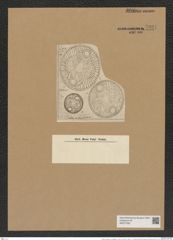 Auliscus caelatus var. strigillatus A. Schm. (de-Toni-Nr.: Genus 171, Species 4362) Zeichnungen Sammlung Grunow Nr. 7931 (NHMW-BOT-W0377208)